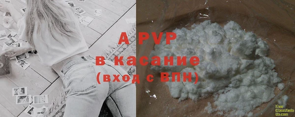 стаф Костерёво