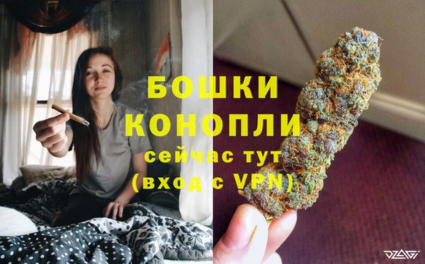 стаф Костерёво