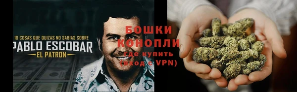 стаф Костерёво