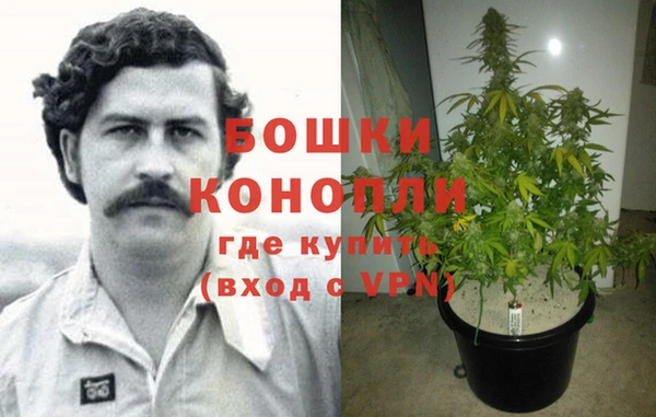 стаф Костерёво