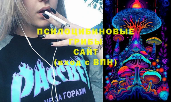 стаф Костерёво