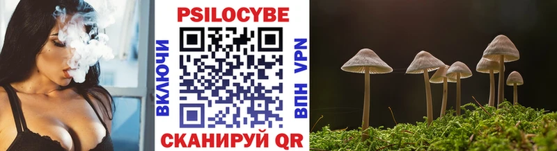 Купить  Кировград  Галлюциногенные грибы Cubensis 